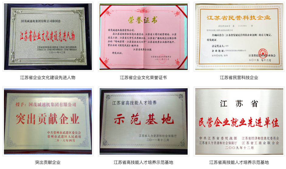 龙8头号玩家荣誉证书